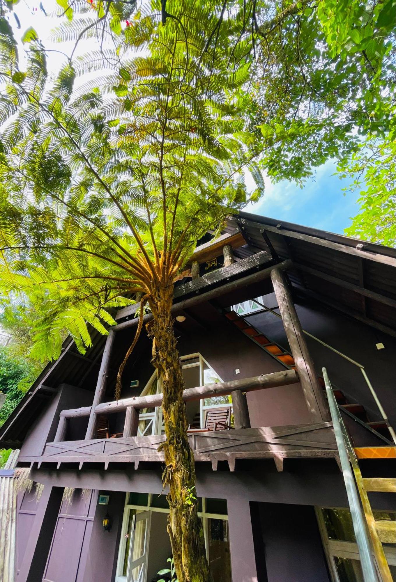 King Fern Cottage 努沃勒埃利耶 外观 照片