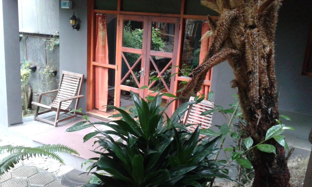 King Fern Cottage 努沃勒埃利耶 外观 照片