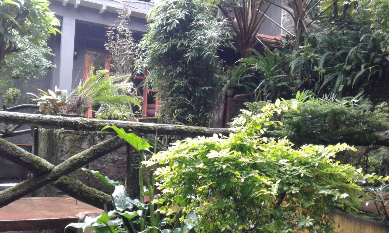 King Fern Cottage 努沃勒埃利耶 外观 照片