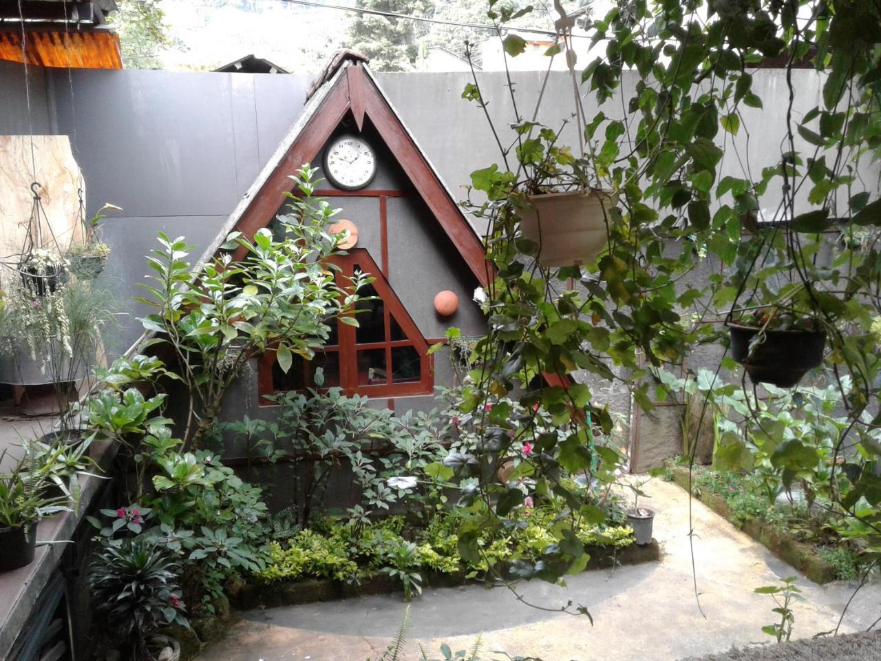 King Fern Cottage 努沃勒埃利耶 外观 照片
