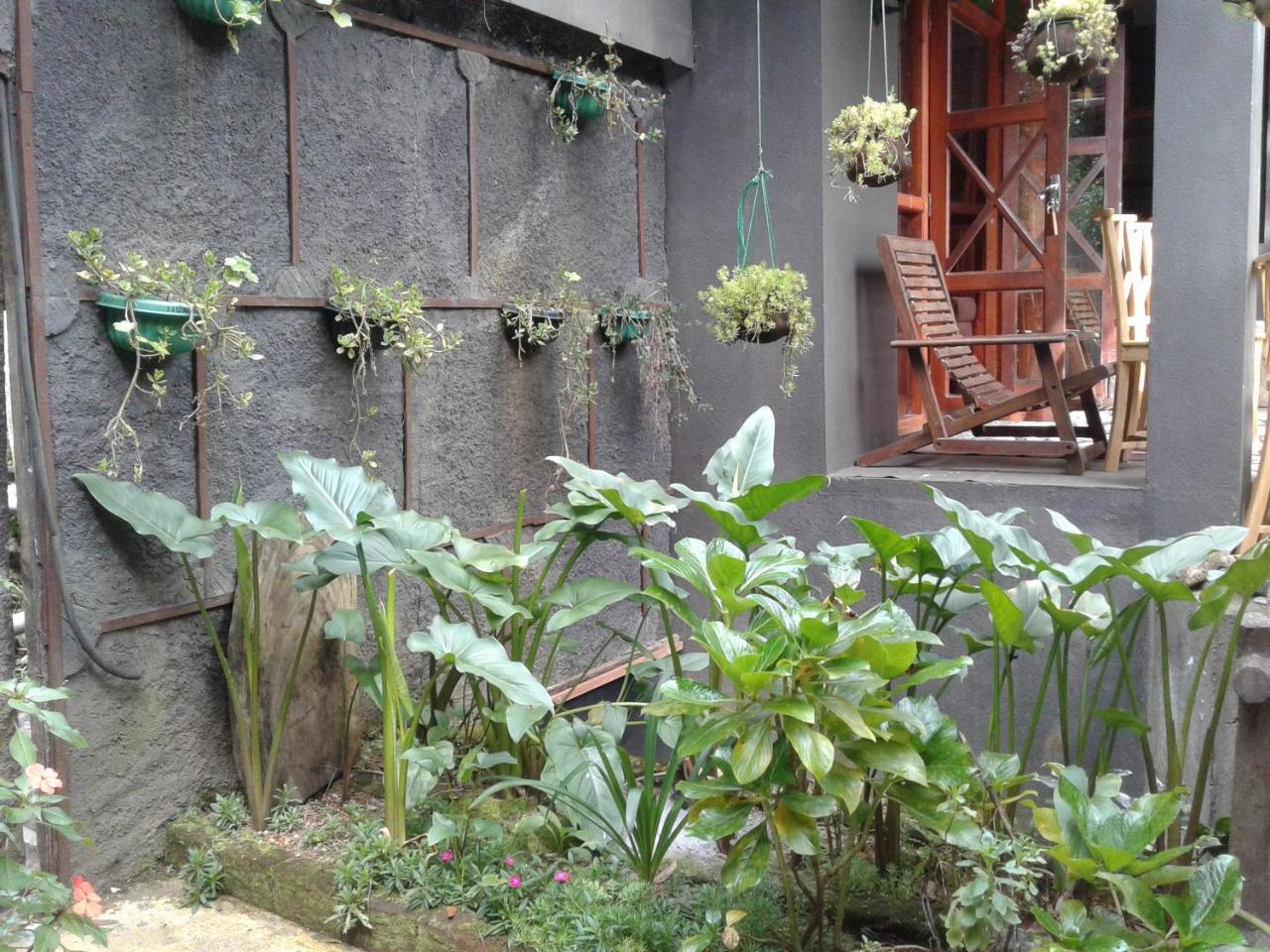 King Fern Cottage 努沃勒埃利耶 外观 照片