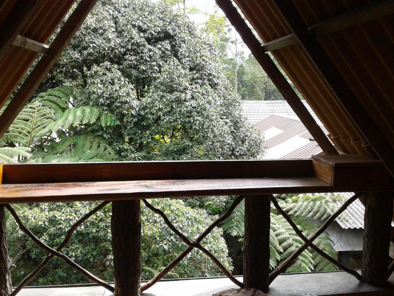 King Fern Cottage 努沃勒埃利耶 外观 照片