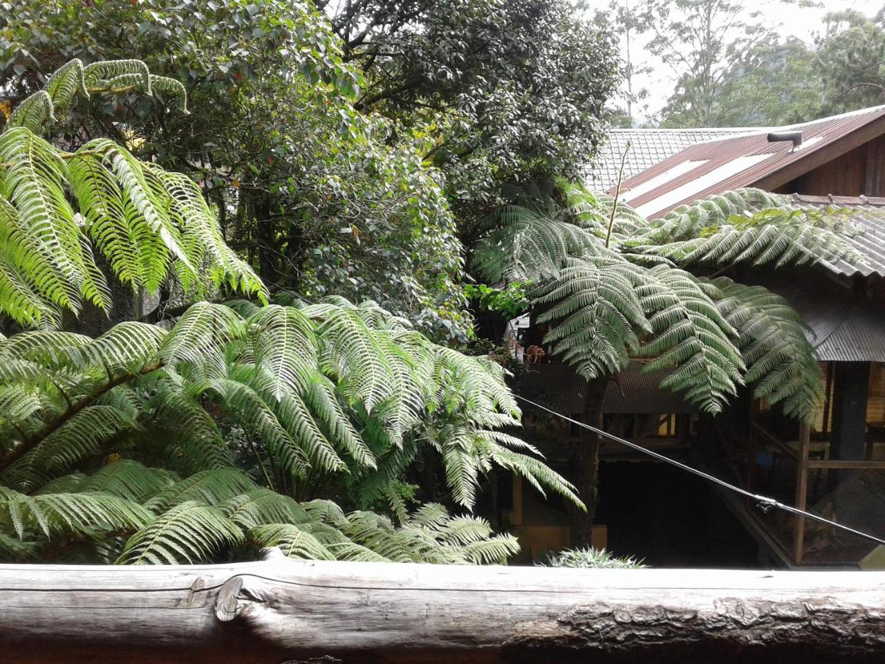King Fern Cottage 努沃勒埃利耶 外观 照片
