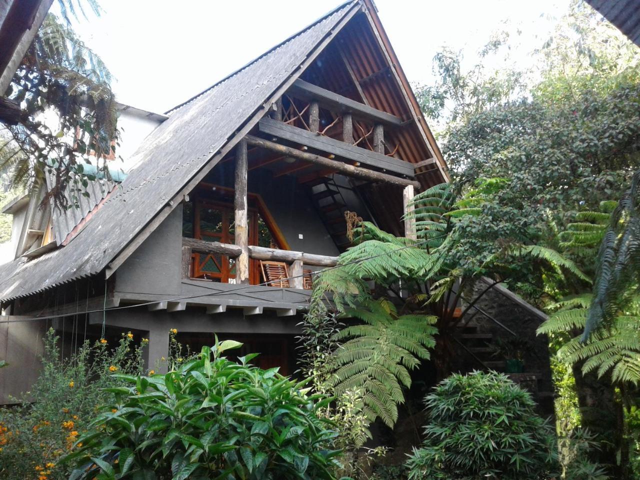 King Fern Cottage 努沃勒埃利耶 外观 照片